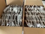 Bulk/Lot Of Unlocked Apple iPhone 8 + And higher - Image 2
