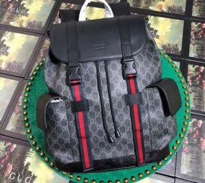 Designer Luxury Backpack Pallets